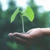 blog-6 blog-6